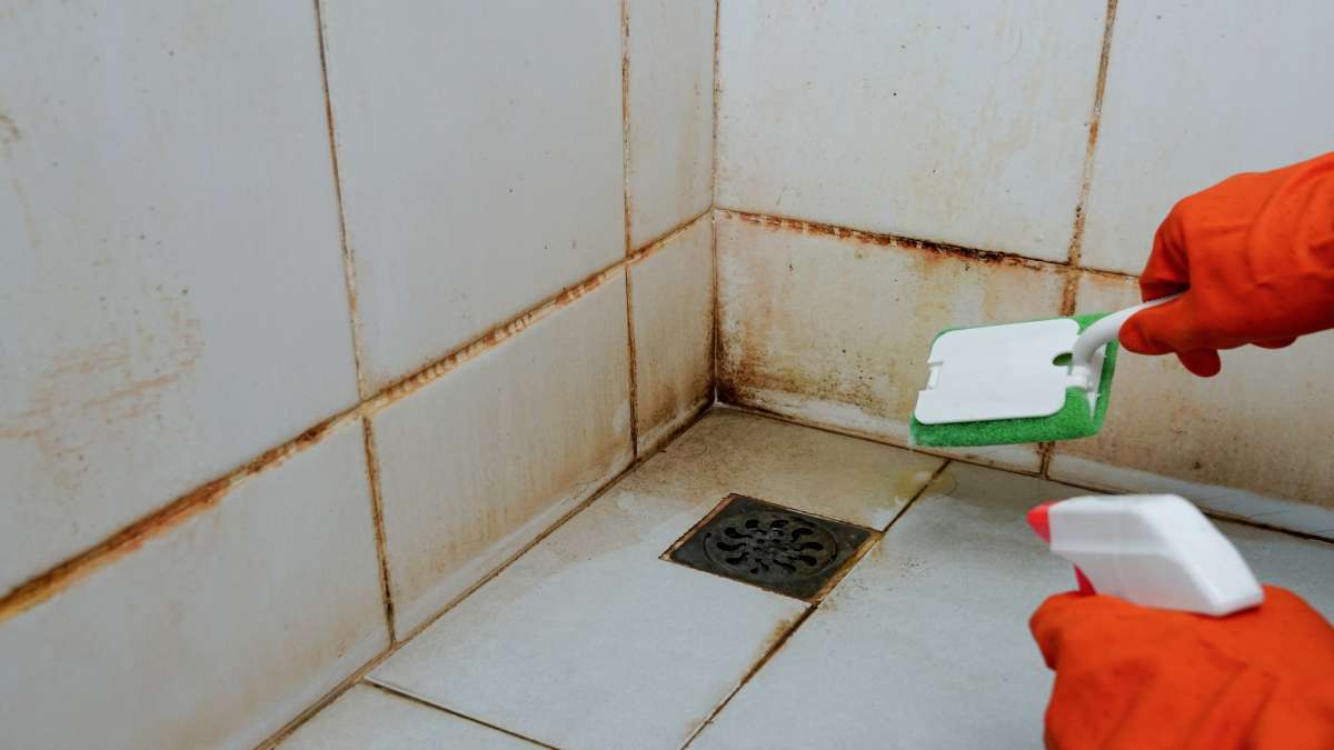 Schimmel in de voegen van een douche. Een persoon met oranje handschoenen probeert dit te verwijderen met een spuitbus en schrobber.